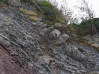 DSC9115 DxO  Méga-slump à débrites carbonatées intercalé dans les marnes de Bidart