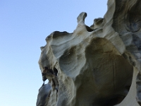 DSC1712