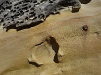 DSC1733
