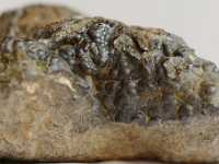 DSC9839 DxO  Goethite FeO-OH