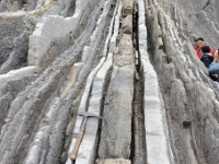 DSC9549 DxO  Un banc de turbidite gréseuse intercalée dans les marno-calcaires. Présence de convolutes.