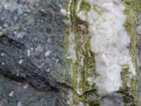 DSC9659 DxO  Epidote, calcite et quartz résultant de circulations hydrothermales dans les basaltes fracturés