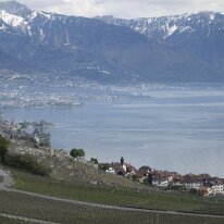 _DSC3486 Les terrains sont constitués par la molasse subalpine, tertiaire, faillée et plissée, et les dépots morainiques quaternaires abandonnés par le glacier du Rhône.