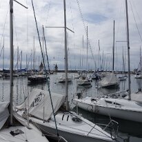 _DSC3510
