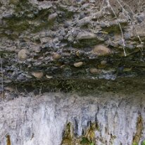 _DSC0078