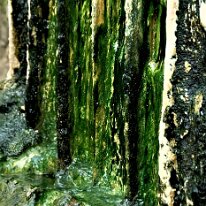 _DSC0041