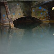 _DSC0042